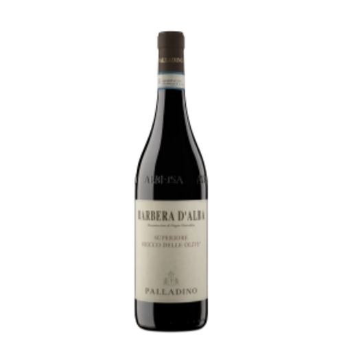 Palladino Barbera d'Alba Superiore DOC Bricco delle Olive 2023 MGN