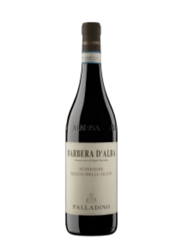 Palladino Barbera d'Alba Superiore Bricco delle Olive DOC 2023 MGN