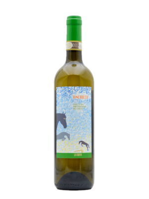 Verdicchio Castelli di Jesi Riserva DOCG Rincrocca