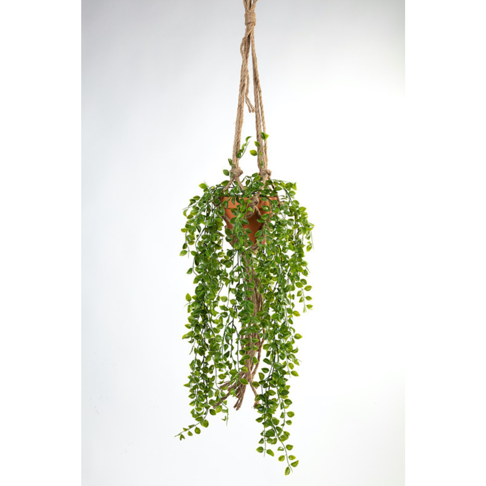 Vp Deco Kunstplant Ficus hanger met touw 105cm