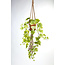 Vp Deco Kunstplant Druivenblad touw 120cm