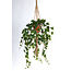 Vp Deco Kunstplant Hedra +Touw met pot h120cm