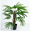 Vp Deco Kunstplant Rhapis palm l70cm