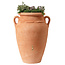 Garantia ANTIQUE amph. 250 liter terra ø 79(max) x h.108 cm M