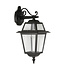 Franssen Franssen gevellamp down Perla zwart - 12V