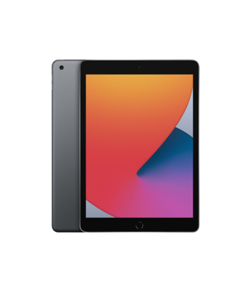 Big Green Egg Apple iPad (2020)