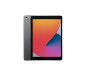 Big Green Egg Apple iPad (2020)