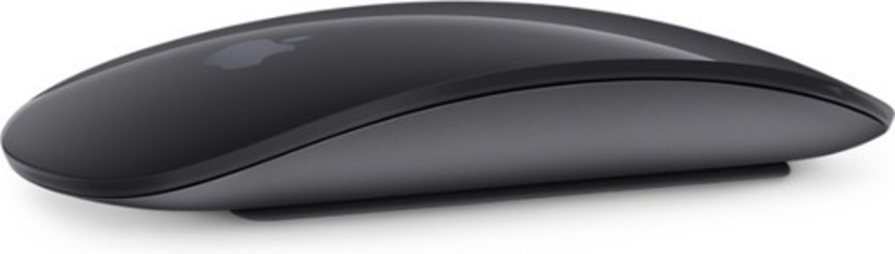 The Bastard Apple Magic Mouse 2 Space Gray The Bastard Apple Magic Mouse 2 Space Gray