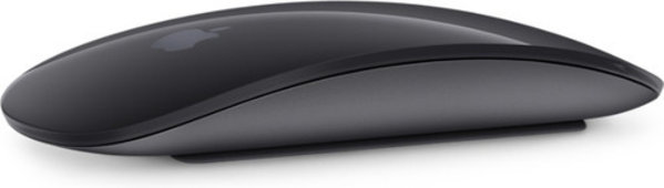 The Bastard Apple Magic Mouse 2 Space Gray The Bastard Apple Magic Mouse 2 Space Gray