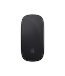 The Bastard Apple Magic Mouse 2 Space Gray