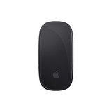 The Bastard Apple Magic Mouse 2 Space Gray