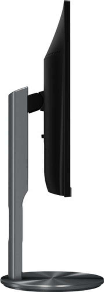 The Bastard AOC i2490PXQU/BT