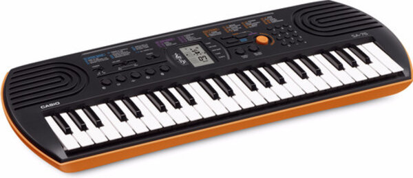 The Bastard Casio SA-76 The Bastard Casio SA-76