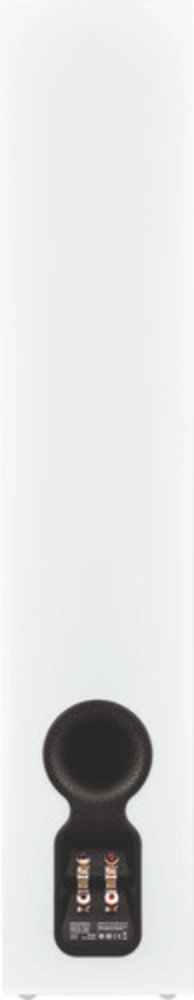 Big Green Egg Big Green Egg ® Egg Genius