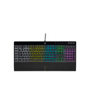 Big Green Egg Corsair K55 RGB Pro Gaming Toetsenbord
