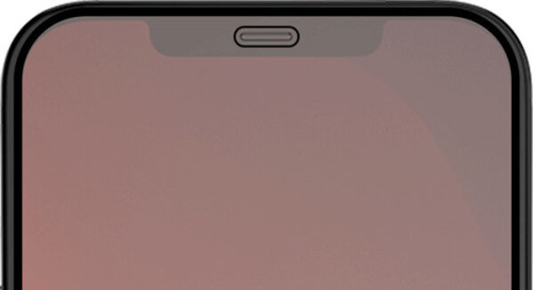 Big Green Egg Azuri Tempered Glass Apple iPhone 12 / 12 Pro Screenprotector Duo Pack