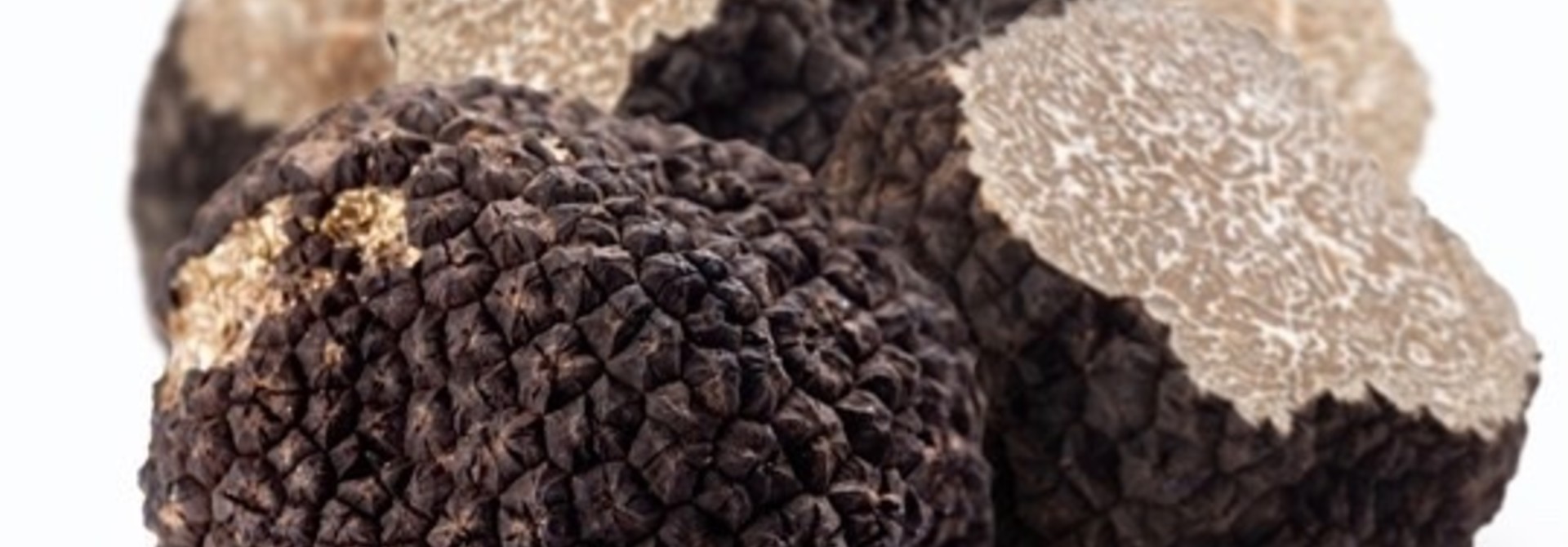 Verse Truffel,, zomertruffel per bol van 20 gram