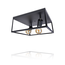 PURPL Plafón Negro | Incl. bombilla E27 - 8w - 2400K | Regulable | 2x puntos de luz | Diseño industrial