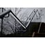 PURPL Tira LED 50m 120 LEDs p/m 220V 6000K Blanco Frío