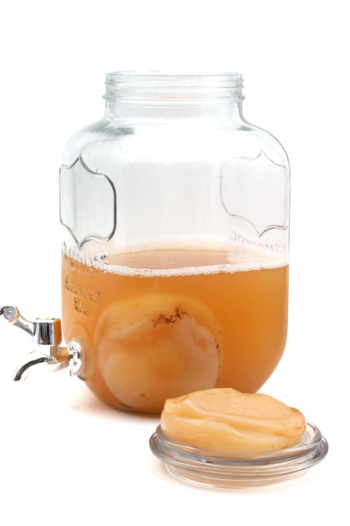 Kombuchazwam "Scoby"