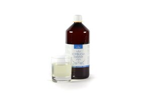 BIO Kombucha Balance kant-en-klaar