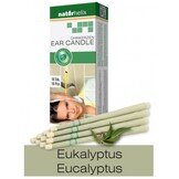 Oorkaarsen Eucalyptus 10 stuks