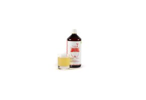 BIO Kombucha Rooibos kant-en-klaar