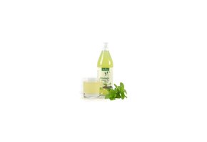 BIO frisdrank Groene Thee Mint