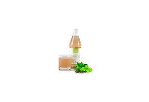 BIO Kombucha Groene Thee