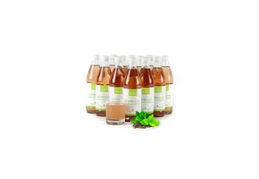 BIO Kombucha Groene Thee - 10 + 2 gratis