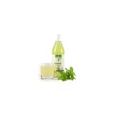 BIO frisdrank Groene Thee Mint - 10 + 2 gratis