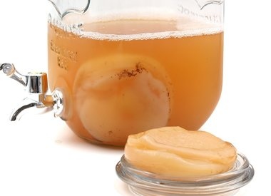 Kombucha