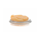 Kombuchazwam "Scoby"