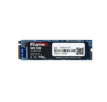 Mega FASTRO SSD 512 GB MS100 M.2 NVMe Gen3 x4 2100/16