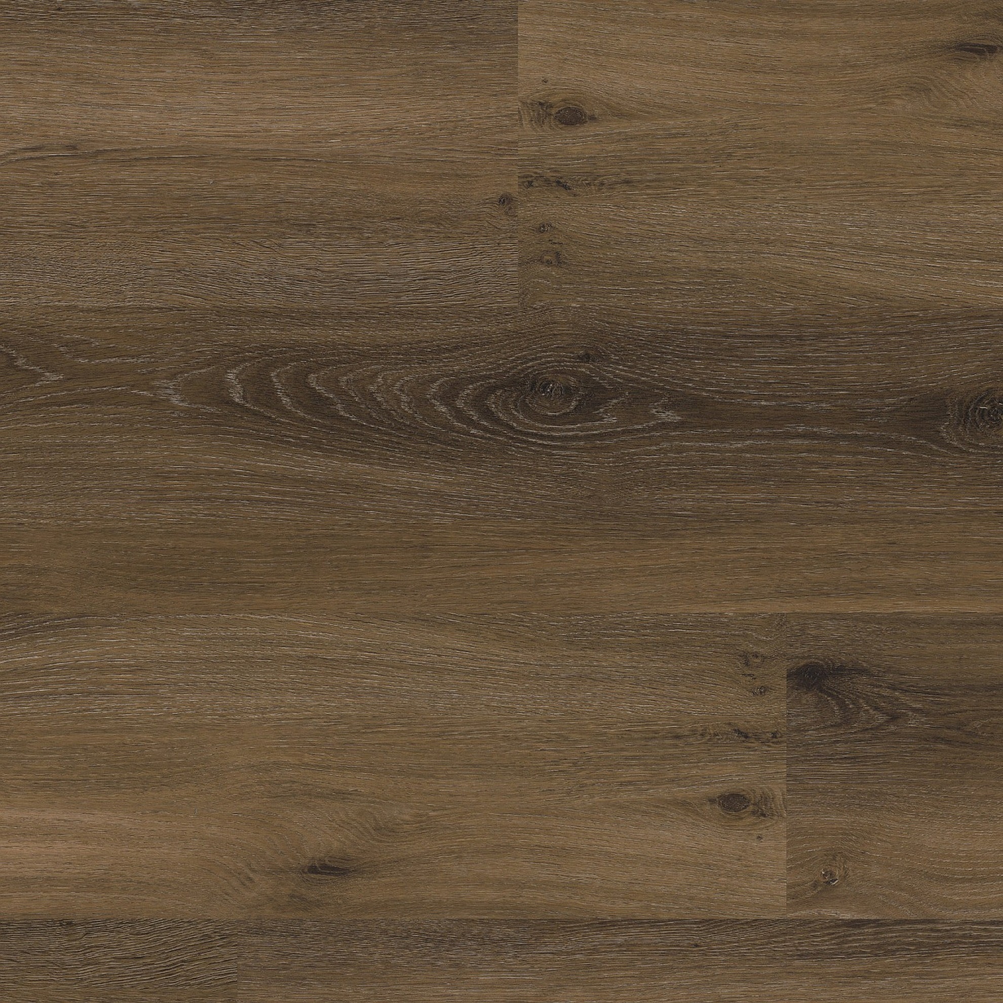 Paddington Warm Brown Plak PVC