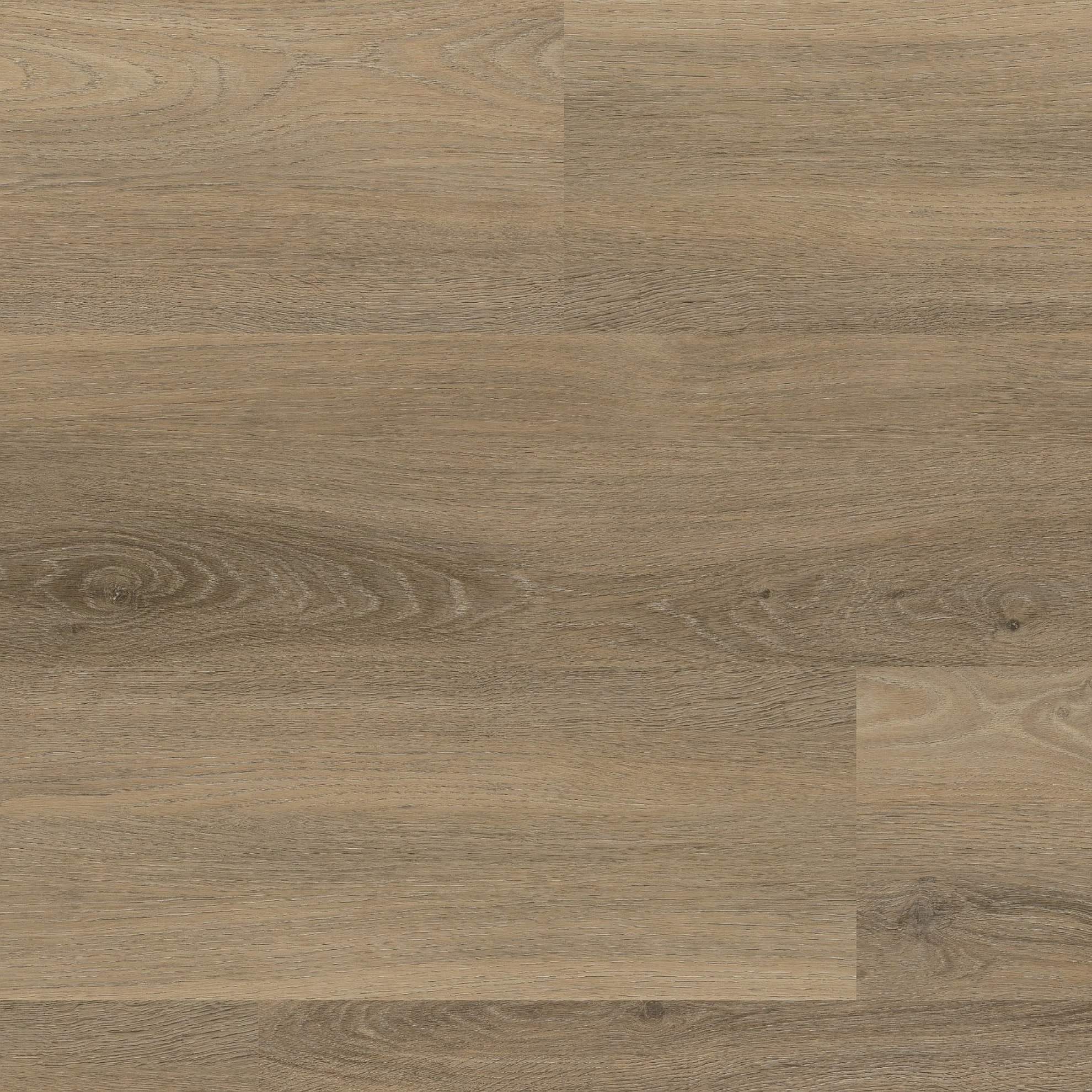 Paddington Smoky Plak PVC