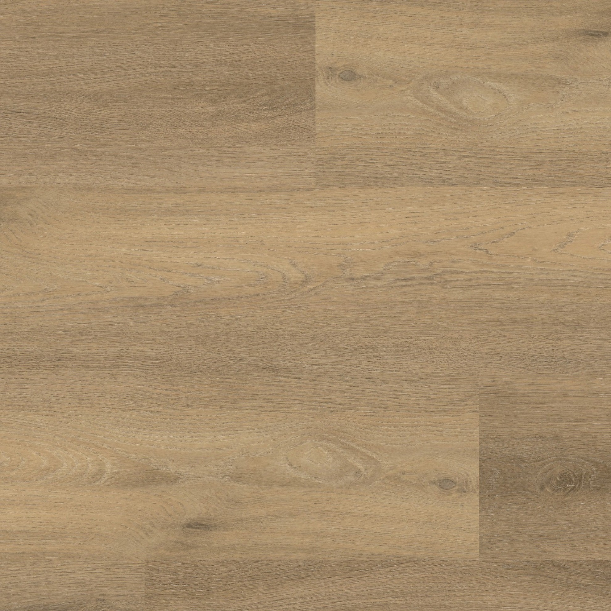 Paddington Natural Plak PVC