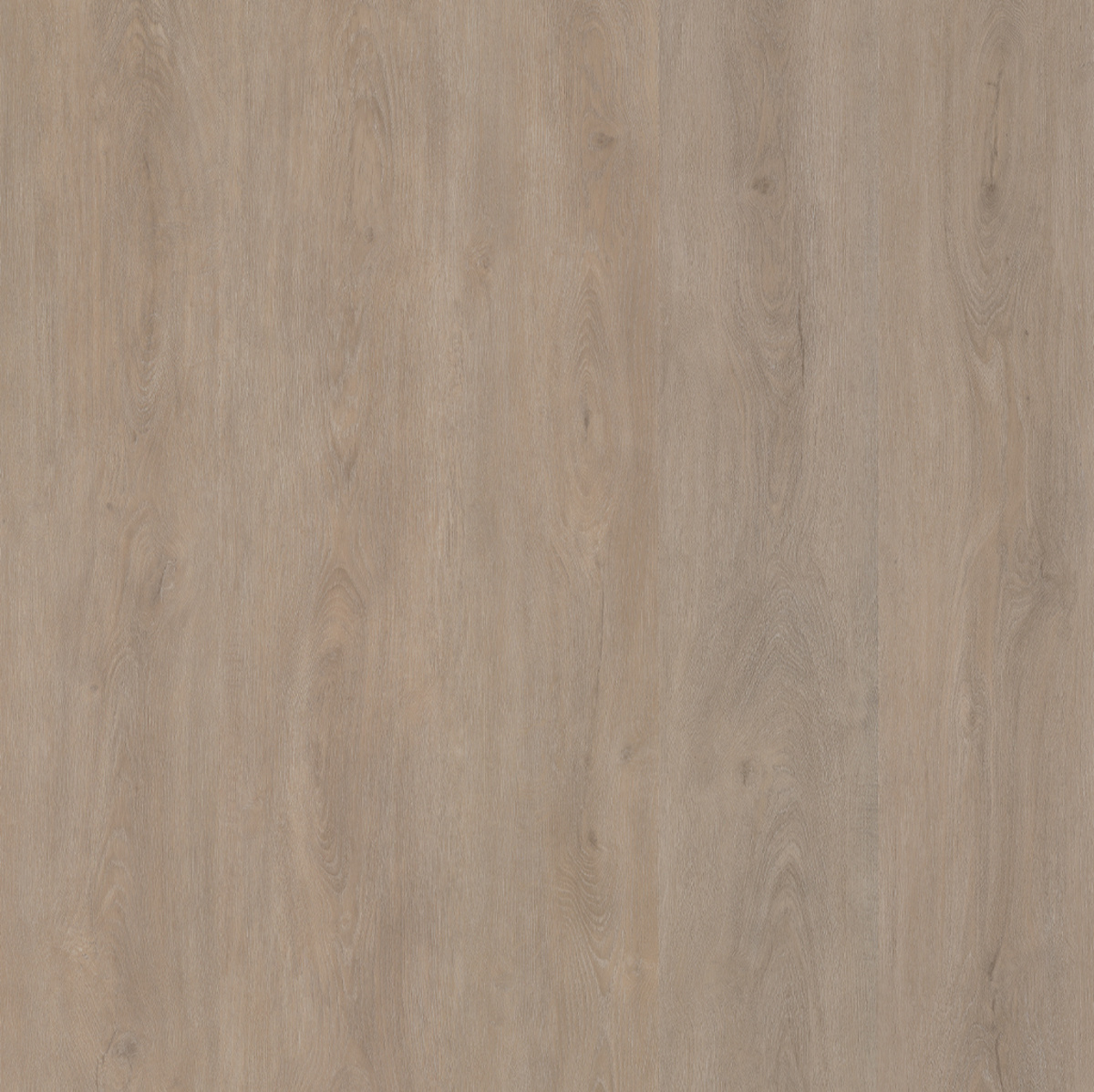 Parramatta Light Oak Klik PVC