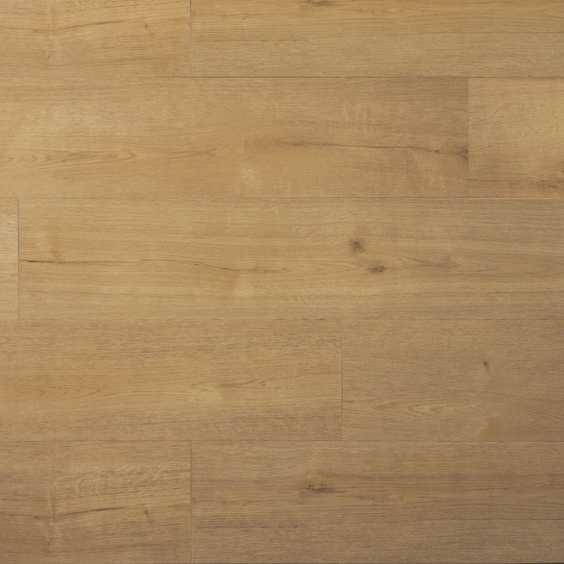 Praktisch plank Kletskop Plak PVC