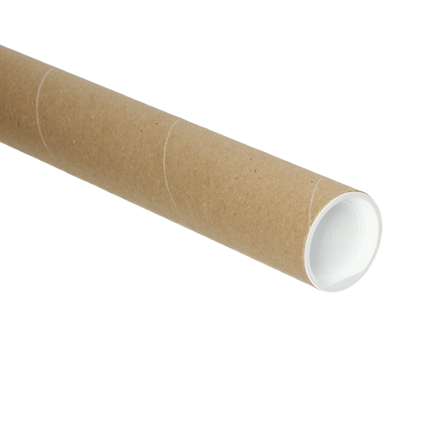 Bies 2,3 x 10 mm x 100 cm zwart  per koker a 100 stuks