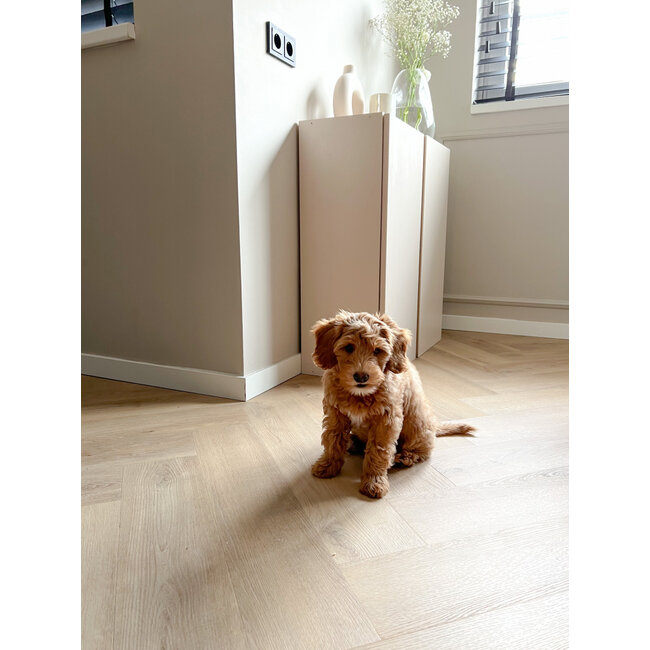 Belakos Palazzo visgraat XL 72 Klik PVC