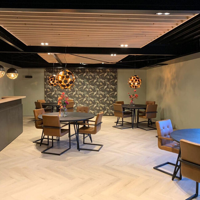 Belakos Palazzo visgraat XL 73 Plak PVC