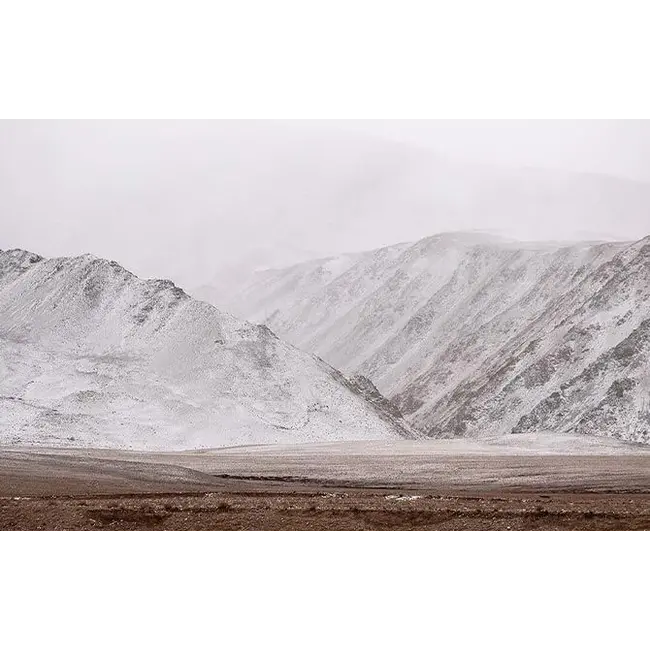 Yarenza. Armonia Large Palermo 8mm Extra Breed Laminaat