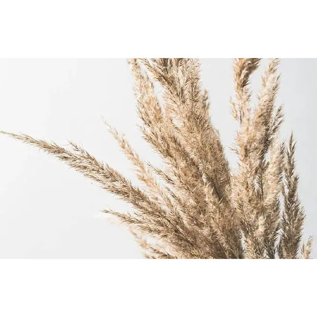 Yarenza. Armonia Large Toscana 8mm Extra Breed Laminaat