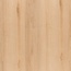 Yarenza. Madera Rechte Plank Beige Plak PVC