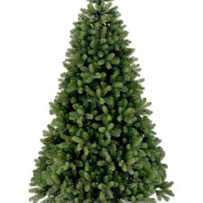 Zonder Verlichting Zonder Verlichting