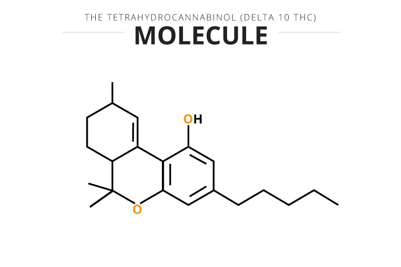 What is Delta 10 THC?