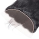 UR Luxury Hair Lace Frontal Straight - Vietnamese hair UR Luxury Hair Lace Frontal Straight - Vietnamese hair