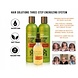 Peter Lamas Hair Solutions | Hair Growth Energizing System Peter Lamas Hair Solutions | Hair Growth Energizing System