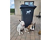 Honden container stickers